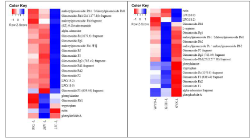 재배 지역별 산양삼 잎의 기능성 대사체 Heatmap