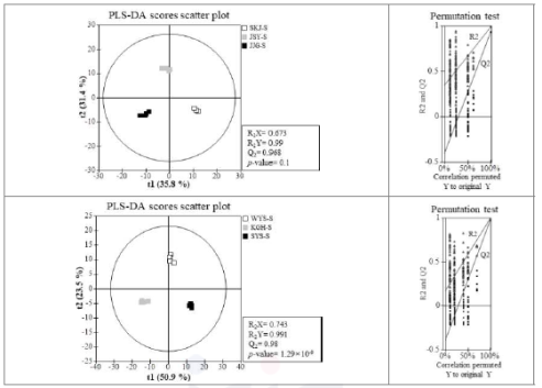 재배 지역별 산양삼 줄기의 기능성 대사체 PLS-DA Scores