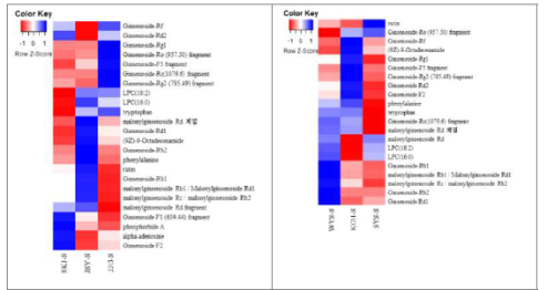 재배 지역별 산양삼 줄기의 기능성 대사체 Heatmap