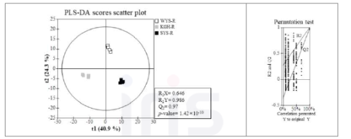 재배 지역별 산양삼 뿌리의 기능성 대사체 PLS-DA Scores