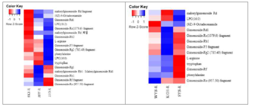 재배 지역별 산양삼 뿌리의 기능성 대사체 Heatmap