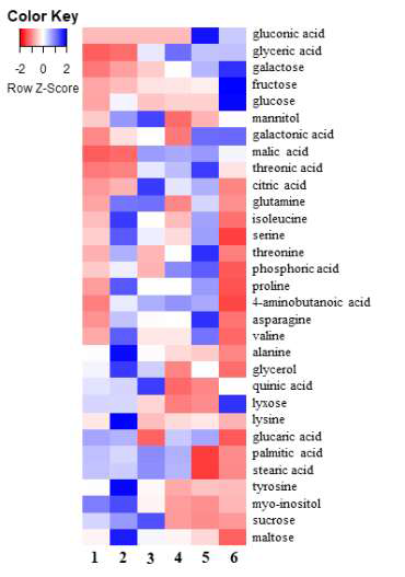 수확 시기별 산양삼 잎 부위의 일반 대사체 Heatmap