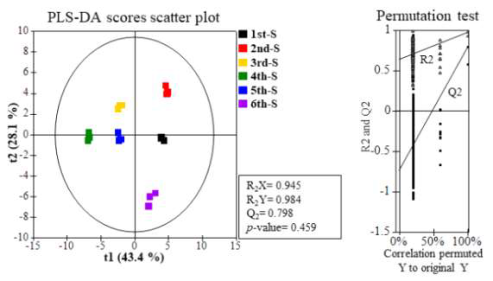 수확 시기별 산양삼 줄기 부위의 일반 대사체 PLS-DA Scores