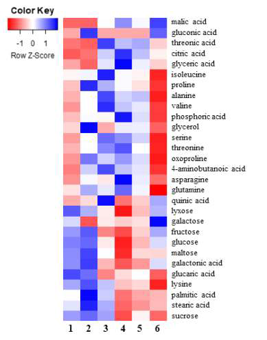 수확 시기별 산양삼 줄기 부위의 일반 대사체 Heatmap