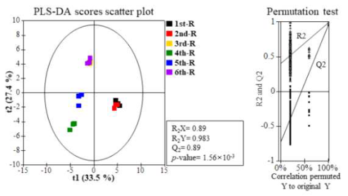 수확 시기별 산양삼 뿌리 부위의 일반 대사체 PLS-DA Scores