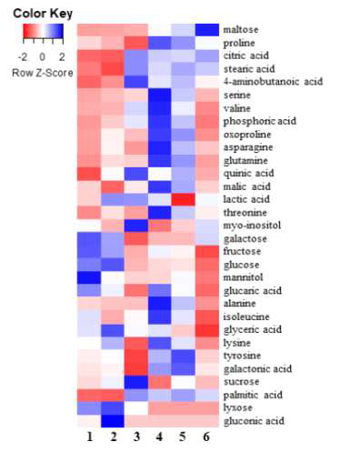 수확 시기별 산양삼 뿌리 부위의 일반 대사체 Heatmap