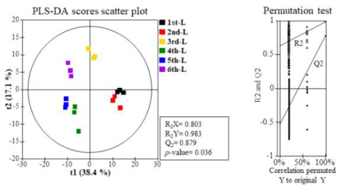 수확 시기별 산양삼 잎 부위의 기능성 대사체 PLS-DA Scores