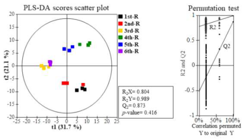 수확 시기별 산양삼 뿌리 부위의 기능성 대사체 PLS-DA Scores