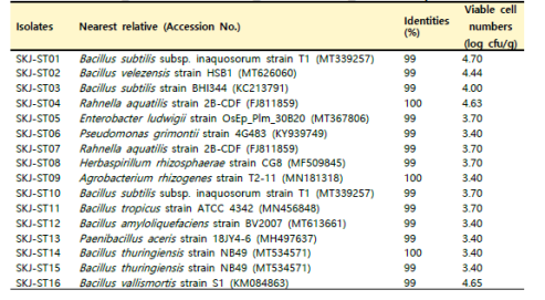 SKJ 함양 서상 지역 산양삼 줄기의 분리 미생물 16S identity
