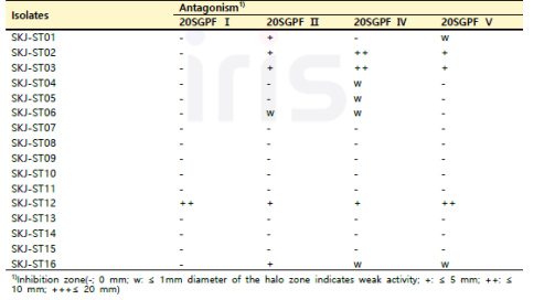 SKJ 함양 서상 지역 산양삼 줄기의 분리 미생물 병원성 곰팡이 항균활성