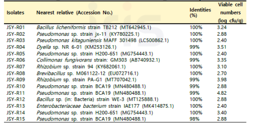 JSY 함양 서하 지역 산양삼 뿌리의 분리 미생물 16S identity
