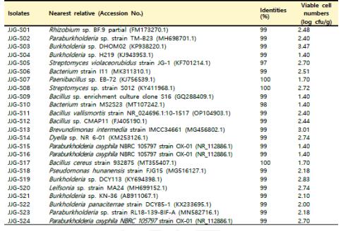 JJG 함양 백전 지역 산양삼 재배 토양의 분리 미생물 16S identity