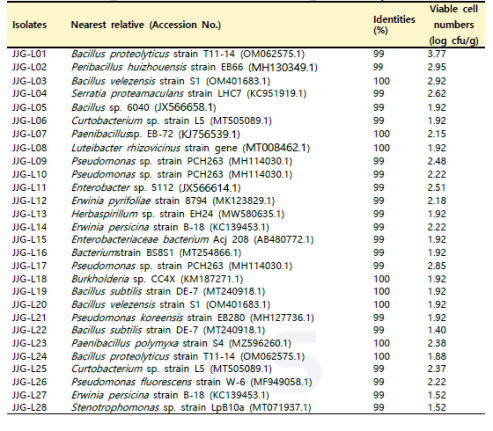 JJG 함양 백전 지역 산양삼 잎의 분리 미생물 16S identity