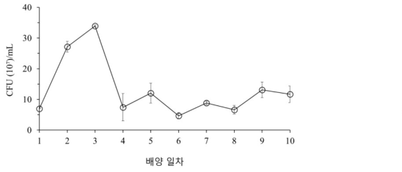 B. subtilis의 생장 패턴