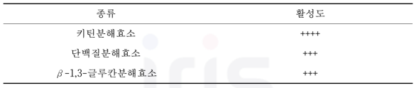 B. subtilis의 키틴분해효소, 단백질분해효소 및 β-1,3-글루칸분해효소 정성 평가 활성도