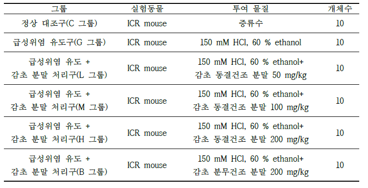 위염 개선 효과 검증 동물실험 처리구 구분 및 물질 투여 조건