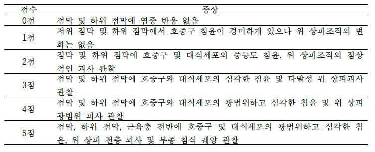 위 염증의 조직병리학적 점수 지수