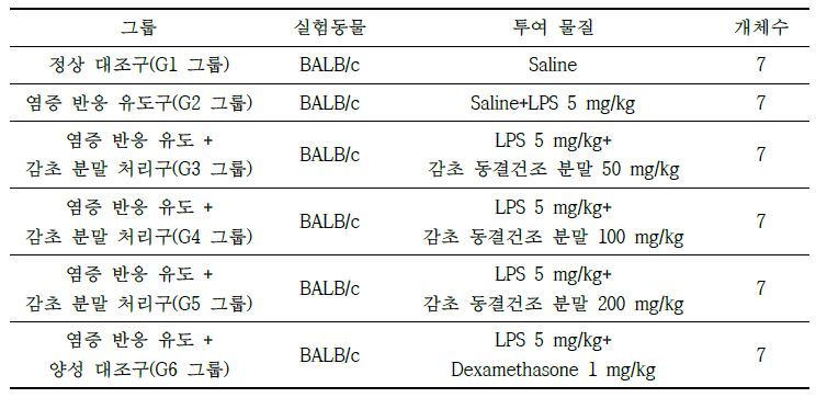 호흡기 개선 효과 검증 처리구 구분 및 물질 투여 조건