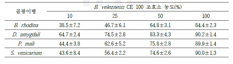 B. velezensis CE 100 조효소 농도별 곰팡이병 포자 발아 억제율