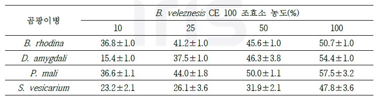 B. velezensis CE 100 조효소 농도별 곰팡이병 균사 생장 억제율