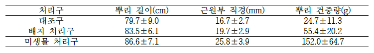 2년생 감초의 처리구별 뿌리 길이, 근원부 직경 및 뿌리 건중량