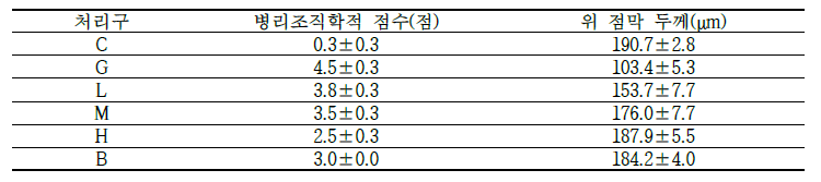 위 조직의 병리조직학적 점수 및 점막 두께