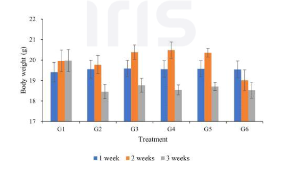 처리구별 1~3주간 실험동물 체중 변화 그래프