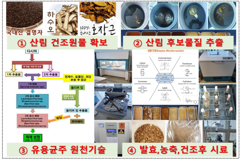 산림자원 원재료 유래 기능성 원료 후보물질 제조 공정 표준화(Lab scale)