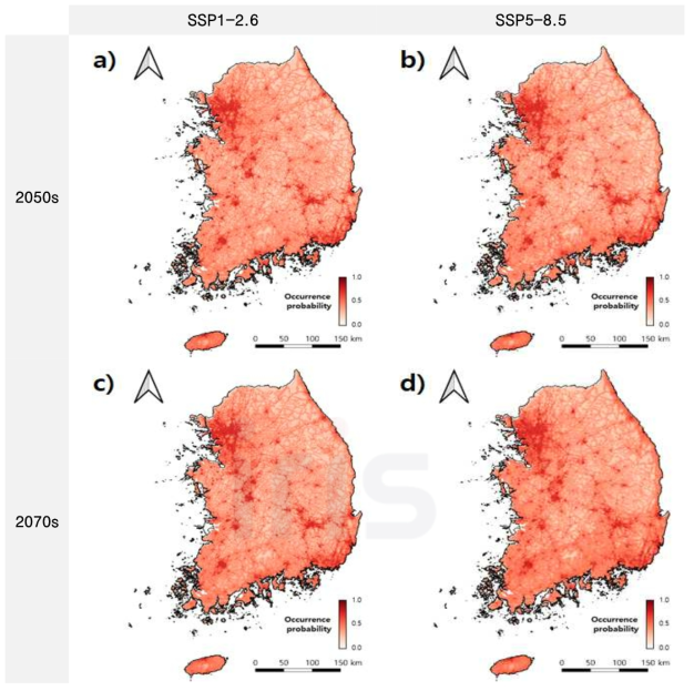 기후변화 시나리오 적용한 모델 ensemble 소나무허리노린재 발생위험도 평가 결과 a) 2050s (SSP1-2.6), b) 2050s (SSP5-8.5), c) 2070s (SSP1-2.6), d) 2070s (SSP5-8.5)