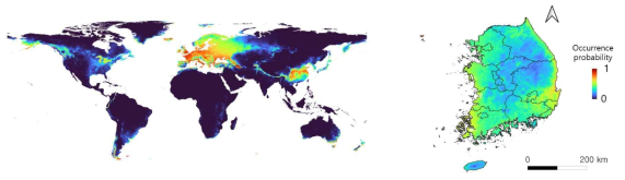 Monochamus galloprovincialis의 피해위험도 모델 예측 결과(국제/국내)