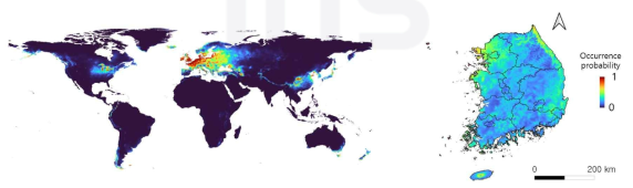 Sirex noctilio의 피해위험도 모델 예측 결과(국제/국내)