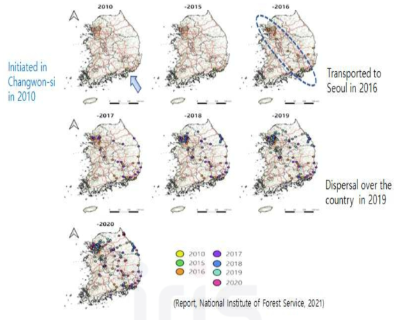 소나무허리노린재의 연도별 확산 과정
