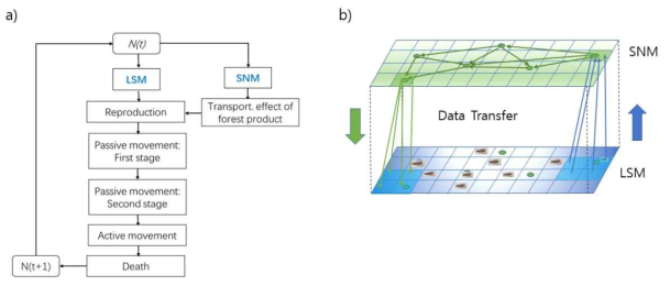 격자구조 모델과 공간네트웍 모델 결합을 통한 소나무허리노린재 개체군 확산 모사
