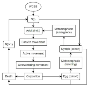 WCSB 개체의 증식, 이동 및 월동에 따른 흐름도
