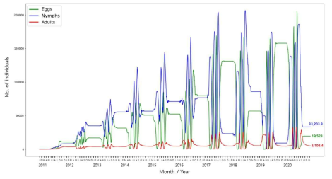 2011년부터 2020년까지 개체 기반 모델에 의한 성충, 약충과 알의 개체군 크기 변화