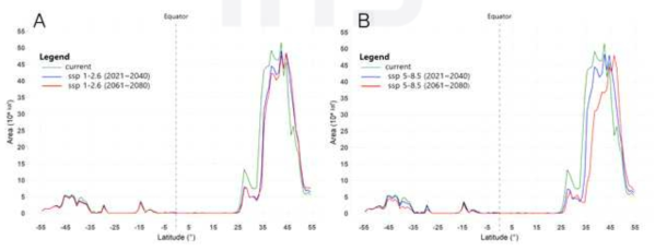 현재 기후(1970-2000) 및 미래 기후 시나리오에서 위도에 따른 솔송나무솜벌레 잠재적 발생 가능 지역의 면적. (A)SSP 1-2.6, (B)SSP 5-8.5