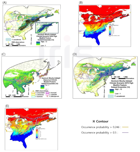 이전 연구 결과와의 비교 (모델 예측 결과는 등고선으로 표시) (이전 연구 결과: Kantola et al.(2019) (A, C, D) 및 McAvoy et al. (2017)(B, E)) A) 현재 기후(1970~2000)에 대한 북미 동부 모델 결과, B) 현재 기후(1981~2010)에 대한 북미 동부 모델 결과, C) 현재 기후(1970~2000)에 대한 동아시아 모델 결과, D) 높은 배출 시나리오를 사용한 미래(2070년) 북미 동부 모델 결과, E) RCP 4.5 시나리오 데이터를 사용한 미래(2071~2100) 북미 동부 모델 결과