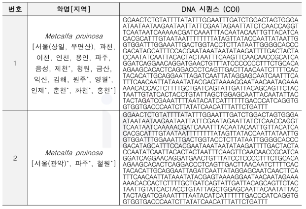 미국선녀벌레 DNA바코드 추출 결과(*: 본 연구를 통해 새로 분포가 확인된 지역)