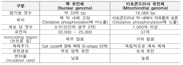 핵 유전체와 미토콘드리아 유전체의 비교