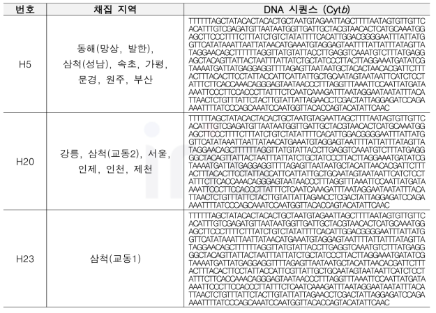 소나무허리노린재(Leptoglossus occidentalis) 시퀀스 추출 결과