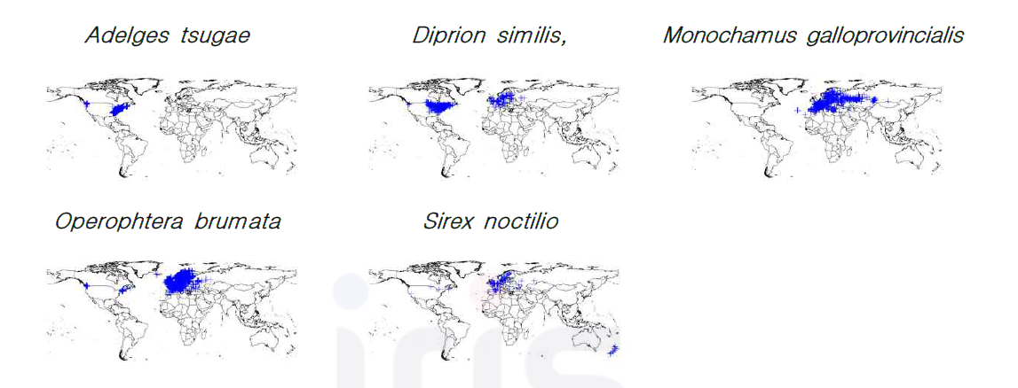 유입우려 외래산림병해충 5종별 국외 분포 지역 ※해당 자료는 GBIF에서 제공받음. 파란색 십자가는 인간에 의한 종별 관찰 지역(Human observation)을 의미함