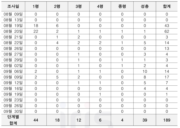 인천대학교 조사 지점 내 일자별 관찰된 소나무허리노린재 단계별 약충 및 성충 수