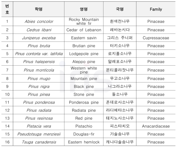 소나무허리노린재의 해외 기주식물