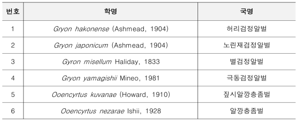 소나무허리노린재 천적으로 확인된 해외 2속 2종과 같은 속의 국내 기록종