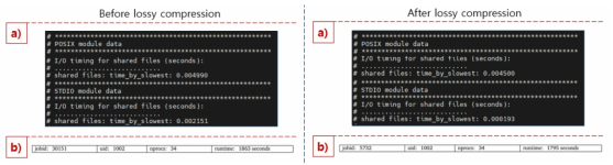 Darshan profiling information