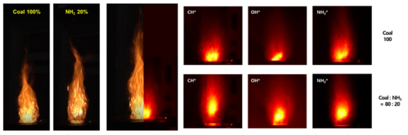 석탄 전소 및 암모니아 혼소율 20% 시 연소화염 직접 이미지와 라디칼 이미지