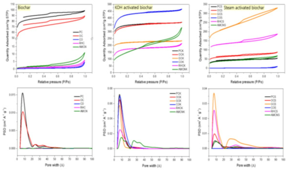 Isotherm Langmuir and pore size distribution by SAIEUS