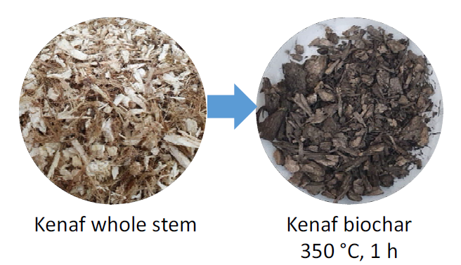 Kenaf biochar 제조 조건 및 제조 전후 형상 비교