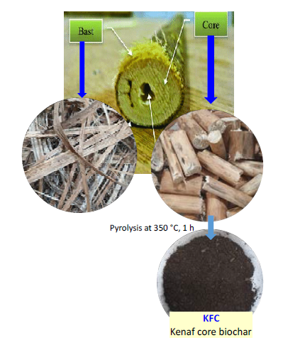 Kenaf core biochar