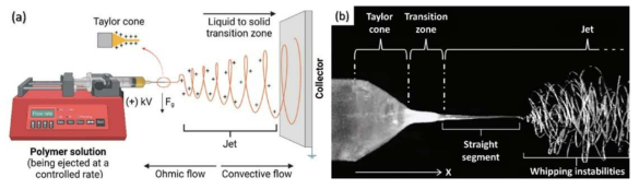 전기방사의 기본 원리. (a) 전기방사 개념도, (b) 고전압 인가된 팁에서의 고속 카메라 촬영 사진 (Keirouz A et al., 2023)